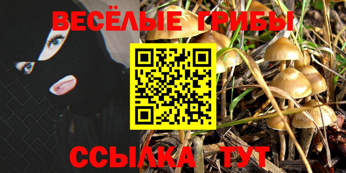 Фрязино  Галлюциногенные грибы Psilocybe  Вход с VPN  Галлюциногенные грибы мухоморы 